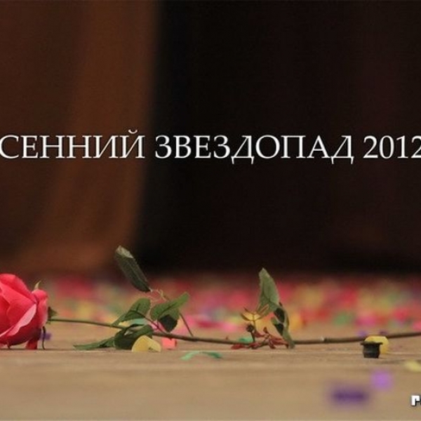 Осенний звездопад 2012 (Курск)
